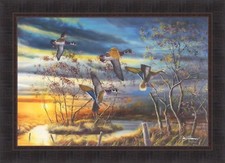 Autumn splendor jim for sale  Onamia