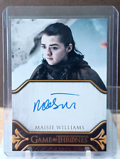 MAISIE WILLIAMS AS ARYA START EDICIÓN LIMITADA AUTOMÁTICA - 2024 JUEGO DE TRONOS LEYENDAS segunda mano  Embacar hacia Mexico