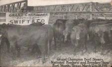 Vintage beef steers for sale  Los Angeles