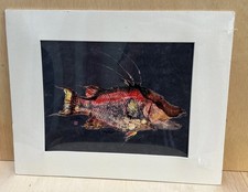 Japanese gyotaku fish for sale  Gainesville