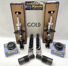 Kit ammortizzatori gold usato  Cerignola