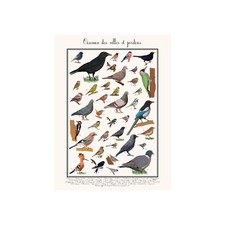 Poster oiseaux jardins d'occasion  France