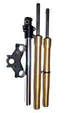 Se2307 motorrad paioli gebraucht kaufen Se2307 motorrad paioli gebraucht kaufen  Kassel