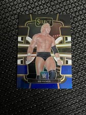 Wwe 2024 panini gebraucht kaufen  Bremen