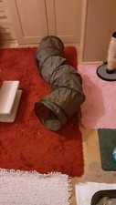 Long play shaped for sale  HULL