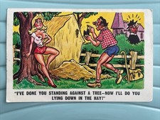 Saucy seaside postcard for sale  NEWBIGGIN-BY-THE-SEA
