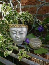 Steinfigur pflanzbuddhakopf te gebraucht kaufen  Ahlerstedt