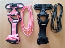 Katzengeschirr leine brustgesc gebraucht kaufen  Dielheim