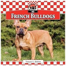 French bulldogs britton for sale  Aurora