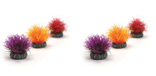 Oase biorb aquatic for sale  Cleveland