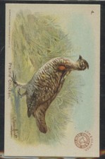 1904 arm hammer for sale  Hightstown