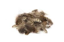 Woodcock body plumage for sale  ALNWICK
