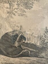 Belle gravure art d'occasion  Toulouse-