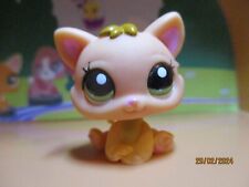 Petshop chaton 2020 d'occasion Petshop chaton 2020 d'occasion  Saint-Omer