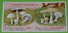 Chromo 1905 1925 d'occasion  Vendat