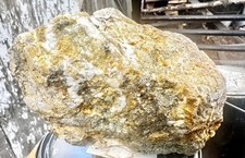 Northern cali gold for sale  Chester
