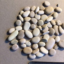 craft pebbles for sale craft pebbles for sale STAFFORD