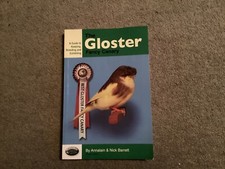 Gloster fancy canary for sale  NEATH