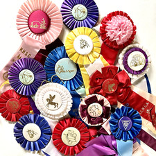 Ribbons rosettes lot for sale  Snohomish