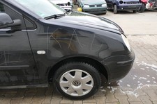 Polo kotflügel schwarz gebraucht kaufen  Borgentreich