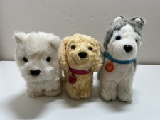 golden doodle pups for sale golden doodle pups for sale Oklahoma City