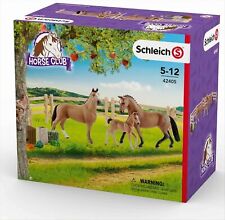 42405 hannoveraner familie gebraucht kaufen  Bremen