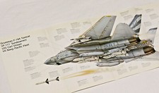 f14 grumman usato  Parma