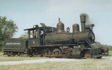 Train louisiana cypress for sale  Warminster