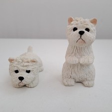 West highland terrier for sale  ELY