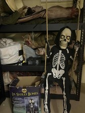 Swinging lil skelly for sale  Holyoke