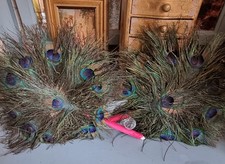Vintage peacock feather for sale  MANCHESTER
