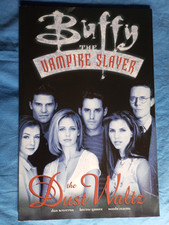 Buffy the dust usato  Verona