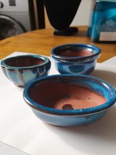 Little glazed plant for sale  GLASGOW