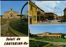 Contarina non viaggiata usato  Italia