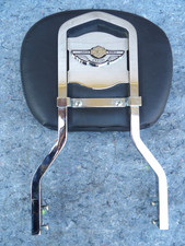 Genuine harley 100th for sale  Cold Spring