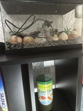 Aquarium meuble d'occasion  Gennevilliers