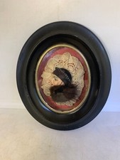 Ancien cadre napoleon d'occasion Ancien cadre napoleon d'occasion  Roubaix