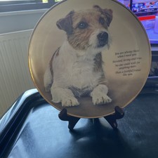 Jack russell for sale  WAKEFIELD
