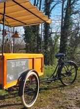 Triporteur velo cargo d'occasion  Saint-Pourçain-sur-Sioule