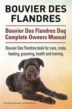 Bouvier des flandres. for sale  DERBY