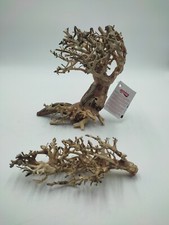 Amtra riental wind gebraucht kaufen  Hütschenhausen