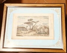 Xilografia paesaggio sull usato  Viadana