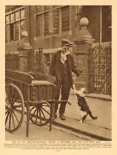 Door door cat for sale  LONDON