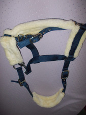 fellpony gebraucht kaufen fellpony gebraucht kaufen Duisburg