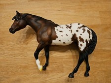 Indian pony limited gebraucht kaufen  Limburg a. d. Lahn