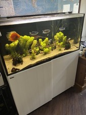 4ft fish tank aquarium for sale 4ft fish tank aquarium for sale CHERTSEY