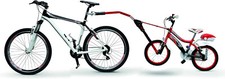 Peruzzo trail angel for sale  STOCKBRIDGE