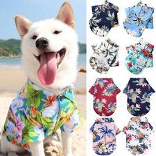 Hawaiian pet dog for sale  LEICESTER