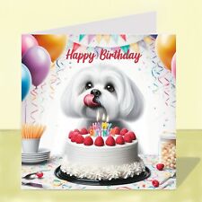 Maltese dog birthday for sale  STOCKTON-ON-TEES