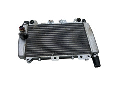 Radiatore radiator acqua usato  Frattaminore